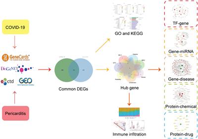 Comprehensive bioinformatics analysis and systems biology approaches to identify the interplay between COVID-19 and pericarditis